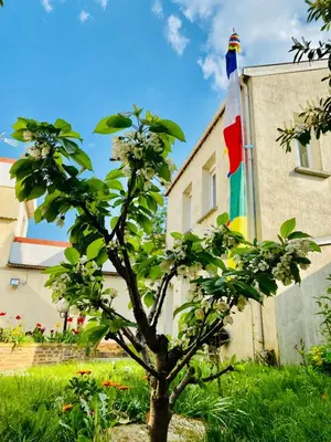 Jardin de l'établissement Reims Sherpa Guest House