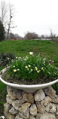 Jardin de l'établissement Gîte Les Chevaliers fous