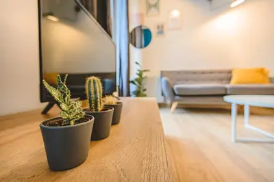 Coin salon dans l'établissement Hyper centre - Hôtel de Ville