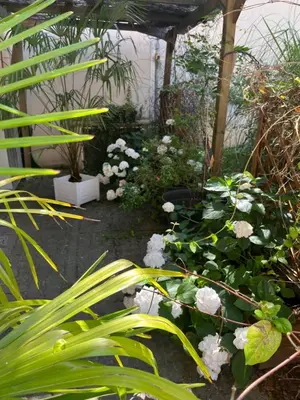 Jardin de l'établissement La Dolce Vita à Epernay