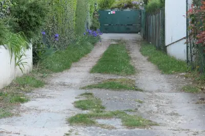 Jardin de l'établissement Gîte Les Iris