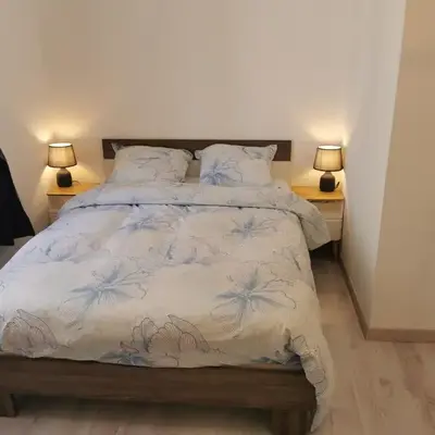 Le 29