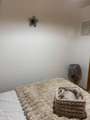 Un ou plusieurs lits dans un hébergement de l'établissement La maison du colombophile