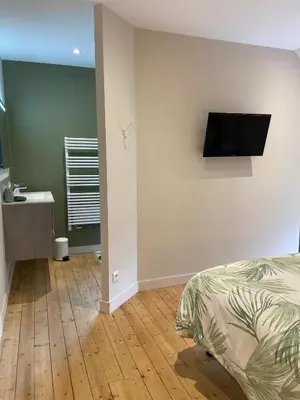 Télévision ou salle de divertissement dans l'établissement Au fil de l’Ô