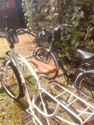 Vélo sur le terrain de l'établissement Chalet La Romance ou dans les environs