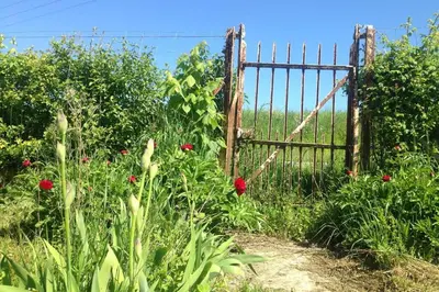 Jardin de l'établissement Ferme de Wichery, Gite 2-6 pers.