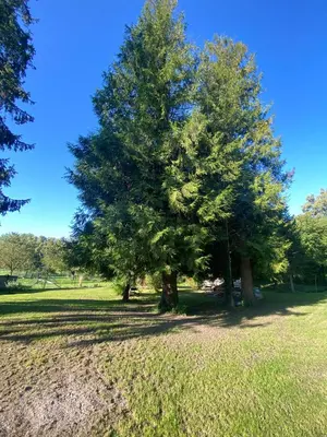 Paysage naturel près de l'appartement