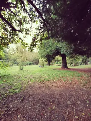 Jardin de l'établissement Studio 8