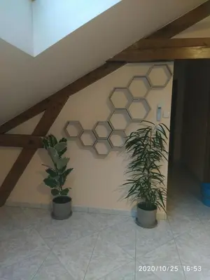 Plan de l'établissement La Ruche
