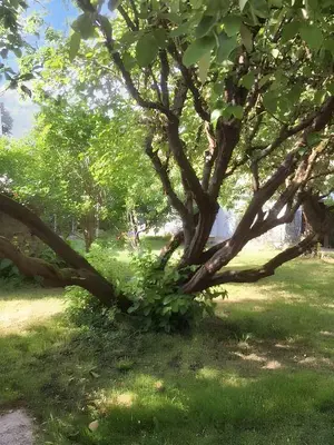 Paysage naturel près de la maison de vacances