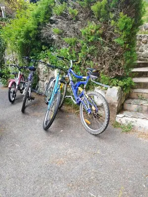 Vélo sur le terrain de l'établissement Chalet chaleureux à Louâtre avec piscine partagée ou dans les environs