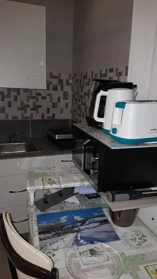 Cuisine ou kitchenette dans l'établissement MAGNIFIQUE STUDIO