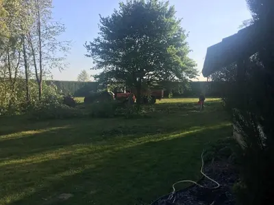 Jardin de l'établissement Maison de campagne
