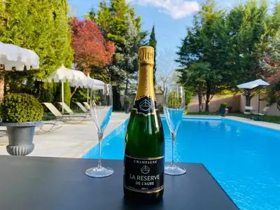 Piscine de l'établissement LA RÉSERVE DE L'AUBE - Hébergements insolites Luxe et Design ou située à proximité