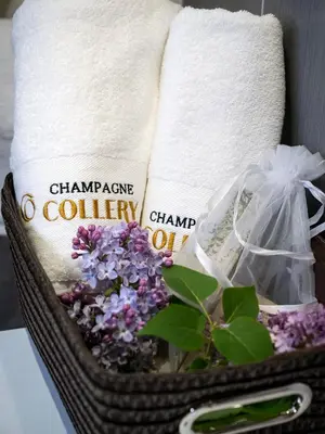 Plan de l'établissement Les Chambres du Champagne Collery
