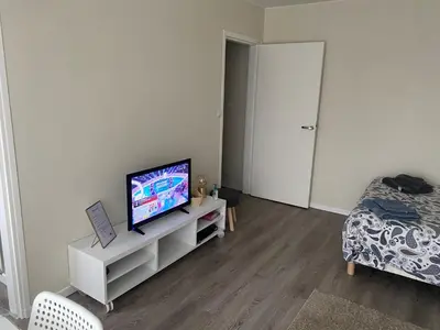 Télévision ou salle de divertissement dans l'établissement Appartement Parc de Fresnoy