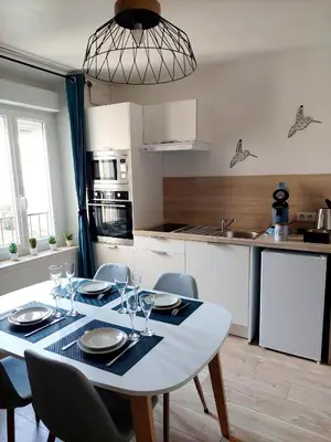 Cuisine ou kitchenette dans l'établissement ESCALE À ÉPERNAY BORDS DE MARNE APPT 2/4 PERS