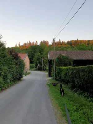 Animal ou animaux domestique(s) séjournant avec des clients dans l'établissement Gîte 4 étoiles La Belle Eau Calme