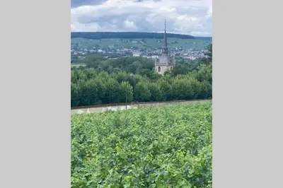 Paysage naturel près de l'appartement