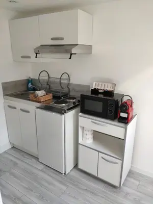 Cuisine ou kitchenette dans l'établissement DG LOCATION