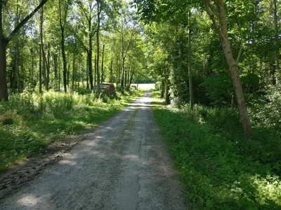 Paysage naturel près de la maison de vacances