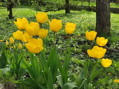 Jardin de l'établissement Entre Meuse et forêt