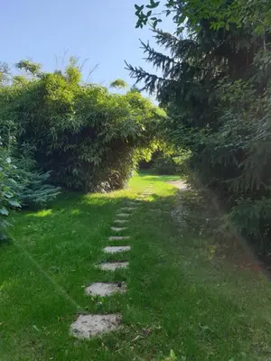 Jardin de l'établissement Le Gîte au bord de la Forêt