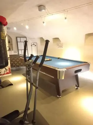 Billard dans l'établissement 