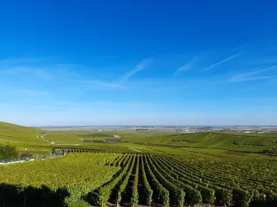 Paysage naturel près de la maison de vacances