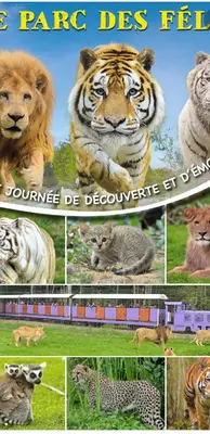 Animaux dans l'appartement ou à proximité