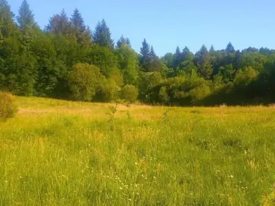 Paysage naturel près de la maison de vacances
