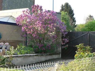 Jardin de l'établissement la Maison d'Arbouet