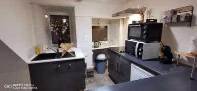 Cuisine ou kitchenette dans l'établissement Appartement Cosy au cœur de la Champagne
