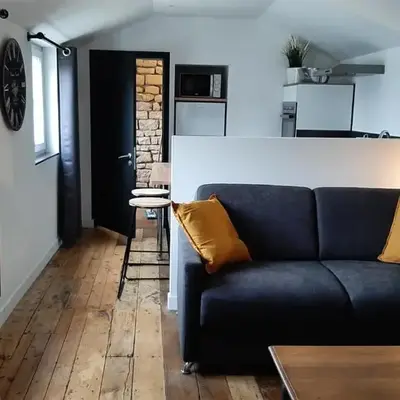 Studio chaleureux en hyper centre