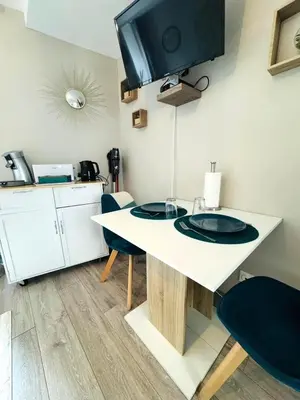 Cuisine ou kitchenette dans l'établissement appartement chic