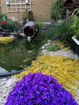 Jardin de l'établissement LOLA
