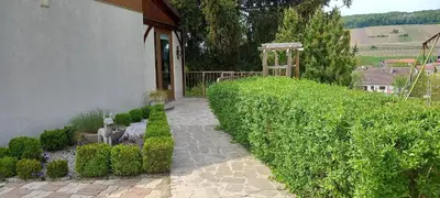 Jardin de l'établissement Gîte du bel air