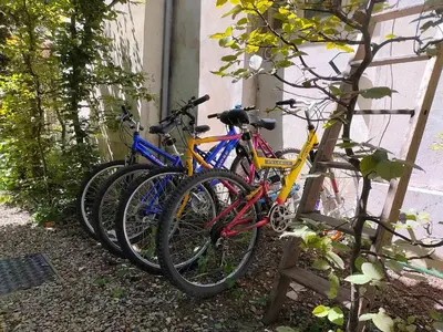 Vélo sur le terrain de l'établissement Le Grand Barrois ou dans les environs