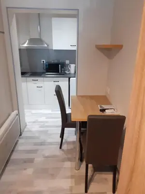 Cuisine ou kitchenette dans l'établissement Les appartements du Saint Hubert