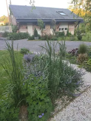 Jardin de l'établissement Gîte des Viviers -08400 Manre - de 1 à 2 personnes