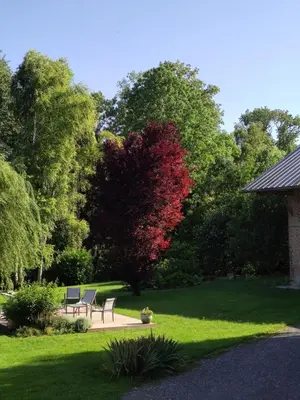 Jardin de l'établissement Gîte des Viviers -08400 Manre - de 1 à 2 personnes