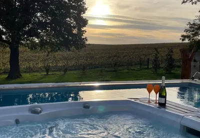 Piscine de l'établissement Best view, pool and spa on the Champagne vineyard ou située à proximité