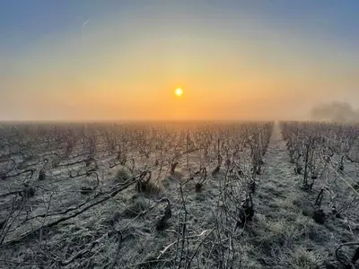 Lever ou coucher de soleil vu de l'appartement ou à proximité