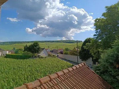 Paysage naturel près de l'appartement