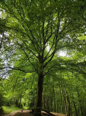 Paysage naturel près de l'appartement