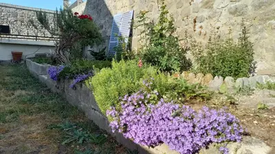Jardin de l'établissement Le Gîte des Murmures