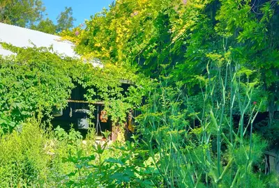 Jardin de l'établissement Logis51