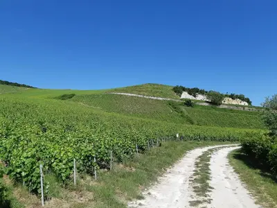 Paysage naturel près de le B&B/chambre d'hôtes