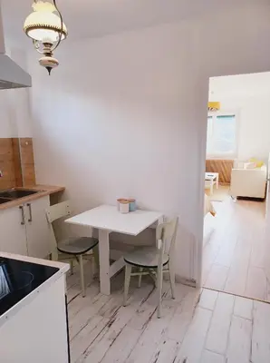 Cuisine ou kitchenette dans l'établissement Superbe Appartement en plein centre-ville de Crépy