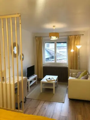 Coin salon dans l'établissement Superbe Appartement en plein centre-ville de Crépy